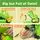 Big Mouth Storage Dinosaur With 28 Small Dinosaurs - სათამაშო დინოზავრი, 2 image
