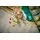 Lego Duplo 10477 3 in 1 Creative Cute Pets, 11 image