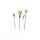 Lego Botanicals 11501 Tulip Bouquet, 7 image