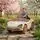 Mclaren Electric Car Painting Milk Coffee - ელექტრო მანქანა, 9 image