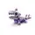 Lego Disney 43287 Olaf and Bruni’s Picnic Fun, 6 image