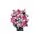Lego Botanicals 10374 Bouquet of Pink Roses, 6 image