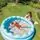 Intex 56191NP Wavy Edge Pool - გასაბერი აუზი, 2 image