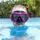Bestway 22040 Hydro Swim Ever Sea Diving Mask Purple -  წყლის სათვალე, 2 image