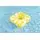 Bestway 32298 Swim Safe Level A swim seat with velvet surface  - გასაბერი კამერა, 10 image
