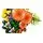Lego Botanicals 11505 Woodland Mushrooms, 4 image