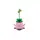 Lego Botanicals 11506 Rocking Plants, 8 image
