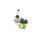 Lego Botanicals 11506 Rocking Plants, 11 image