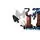 Lego Harry Potter 76475 Forbidden Forest™: Expecto Patronum, 5 image