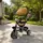 Biscuit Tricycle coffee With Music And Light - სასეირნო ველო-ეტლი, 2 image