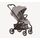 Anex Ride Chrome - საბავშვო ეტლი, 5 image