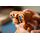 Lego Ideas 21370 E.T. the Extra-Terrestrial, 17 image