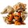 Lego Pokémon 72160 Arcanine, 2 image