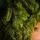 Christmas Tree PE 270 CM Green  - ნაძვის ხე 100% სილიკონი, 9 image