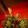 Christmas Tree With Mixed Silicone Needles, Lights, Pine Cones And Berries PE+PVC 210 CM  - ნაძვის ხე შერეული სილიკონის წიწვებით განათებით,გირჩით და კენკრით, 8 image