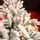 Snow-Covered Christmas Tree With Mixed Silicone Needle PE+PVC 210 CM - დათოვლილი ნაძვის ხე შერეული სილიკონის წიწვებით, 5 image