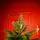 Christmas Tree 210 CM PE + PVC  - საახალწლო ნაძვის ხე შერეული სილიკონის წიწვებით, 3 image