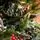Christmas Tree With Mixed Silicone Needle, Pine Cones And Berries PE+PVC 210 CM - ნაძვის ხე შერეული სილიკონის წიწვებით, გირჩით და კენკრით, 8 image