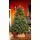 Christmas Tree PE+PVC 180 CM - საახალწლო ნაძვის ხე შერეული სილიკონის წიწვებით, 3 image