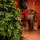 Christmas Tree PE 270 CM Green  - ნაძვის ხე 100% სილიკონი, 6 image