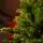 Christmas Tree 210 CM PE + PVC  - საახალწლო ნაძვის ხე შერეული სილიკონის წიწვებით, 4 image
