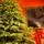 Christmas Tree With Mixed Silicone Needle PE+PVC 180 CM - ნაძვის ხე შერეული სილიკონის წიწვებით, 4 image