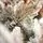Snow-Covered Christmas Tree PE+PVC 240 CM - დათოვლილი ნაძვის ხე შერეული სილიკონის წიწვებით, 4 image
