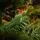 Christmas Tree 210 CM PE + PVC  - საახალწლო ნაძვის ხე შერეული სილიკონის წიწვებით, 6 image