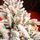 Snow-Covered Christmas Tree With Mixed Silicone Needle PE+PVC 210 CM - დათოვლილი ნაძვის ხე შერეული სილიკონის წიწვებით, 5 image