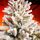 Snow-Covered Christmas Tree With Mixed Silicone Needle PE+PVC 210 CM - დათოვლილი ნაძვის ხე შერეული სილიკონის წიწვებით, 6 image