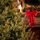 Christmas Tree PE+PVC 210 CM Green - ნაძვის ხე შერეული სილიკონის წიწვებით, 4 image