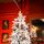 Snow-Covered Christmas Tree With Pine Cones საახალწლო ნაძვის ხე დათოვლილი ტოტებით და გირჩით 210 სმ (OT2083), 3 image