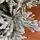 Snow-Covered Christmas Tree PE+PVC 240 CM - დათოვლილი ნაძვის ხე შერეული სილიკონის წიწვებით, 8 image