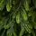Christmas Tree PE 240 CM Green  - ნაძვის ხე 100% სილიკონი, 5 image