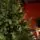 Christmas Tree PE + PVC 240 CM - ნაძვის ხე შერეული სილიკონის წიწვებით, 4 image