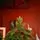 Christmas Tree PE 210 CM Green  - ნაძვის ხე 100% სილიკონი, 3 image