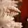Snow-Covered Christmas Tree With Mixed Silicone Needle And Pine Cones PE+PVC 210 CM - დათოვლილი ნაძვის ხე შერეული სილიკონის წიწვებით და გირჩით, 11 image