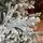 Snow-Covered Christmas Tree PE+PVC 240 CM - დათოვლილი ნაძვის ხე შერეული სილიკონის წიწვებით, 6 image