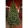 Christmas Tree PE + PVC 240 CM - ნაძვის ხე შერეული სილიკონის წიწვებით