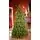 Christmas Tree PE 180 CM Green  - ნაძვის ხე 100% სილიკონი, 2 image