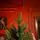 Christmas Tree PE + PVC 210 CM - ნაძვის ხე შერეული სილიკონის წიწვებით, 4 image