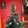 Merrywood Christmas Tree 180 CM With Pine Cones And Berries ნაძვის ხე დათოვლილი ბოლოებით გირჩით და კენკრით (OT024), 3 image