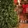 Christmas Tree PE + PVC 210 CM - ნაძვის ხე შერეული სილიკონის წიწვებით, 6 image