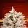 Snow-Covered Christmas Tree With Mixed Silicone Needle And Pine Cones PE+PVC 210 CM - დათოვლილი ნაძვის ხე შერეული სილიკონის წიწვებით და გირჩით, 3 image
