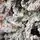 Northwind Snow-Covered Christmas Tree  240 CM - დათოვლილი ნაძვის ხე, 11 image