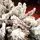 Northwind Snow-Covered Christmas Tree  240 CM - დათოვლილი ნაძვის ხე, 7 image