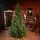 Christmas Tree PE 240 CM Green  - ნაძვის ხე 100% სილიკონი