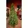 Christmas Tree PE 210 CM Green  - ნაძვის ხე 100% სილიკონი, 2 image