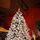Snow-Covered Christmas Tree  240 CM - დათოვლილი ნაძვის ხე, 5 image