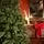 Christmas Tree PE + PVC 210 CM - ნაძვის ხე შერეული სილიკონის წიწვებით, 3 image